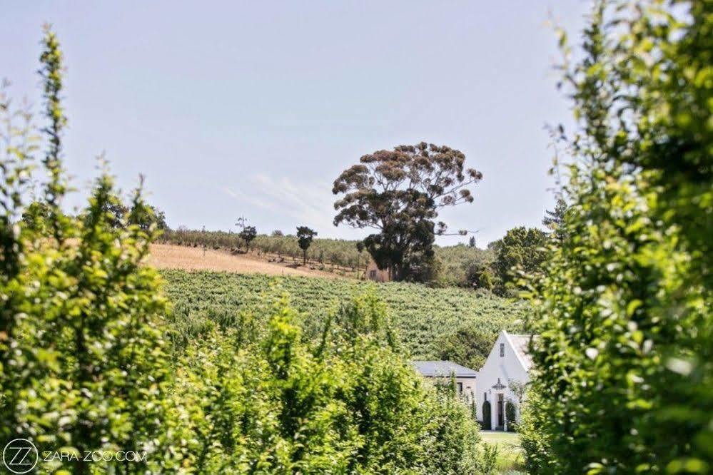 מלון סטלנבוש Brenaissance Wine & Stud Estate מראה חיצוני תמונה